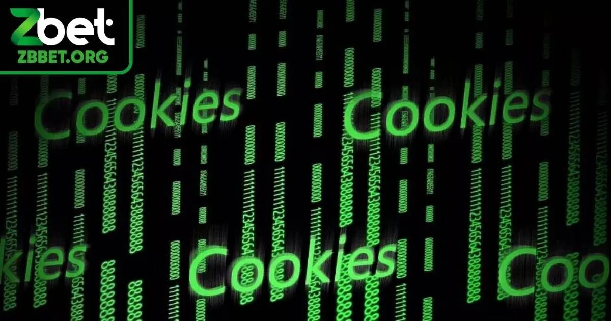 Chính sách Cookie Zbet là gì?